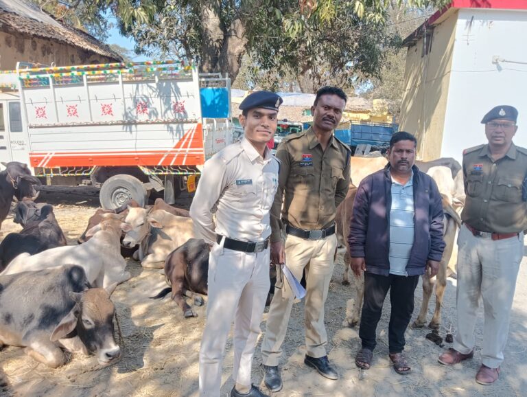 ऑपरेशन शंखनाद के तहत मुक्त कराए गए गौवंश के साथ लैलूंगा पुलिस