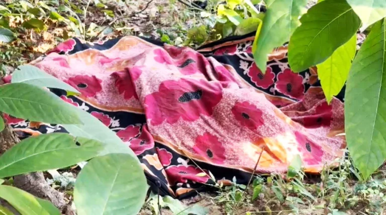 korba-rajgamar-seven-year-old-girl-body-found-forest-murder-investigation